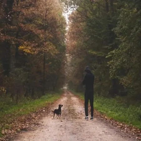 4 Person In 度假居 *