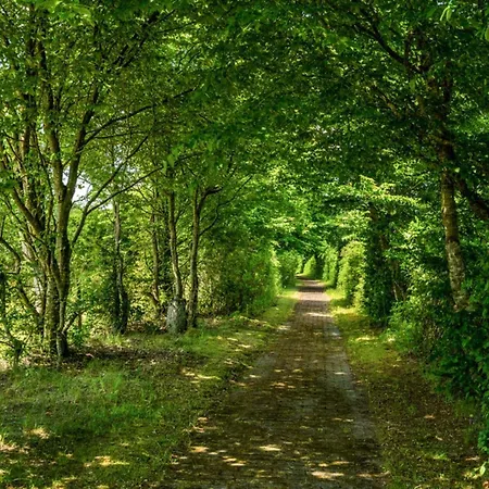 4 Person In 度假居