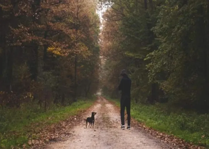 4 Person In Σπίτι διακοπών *